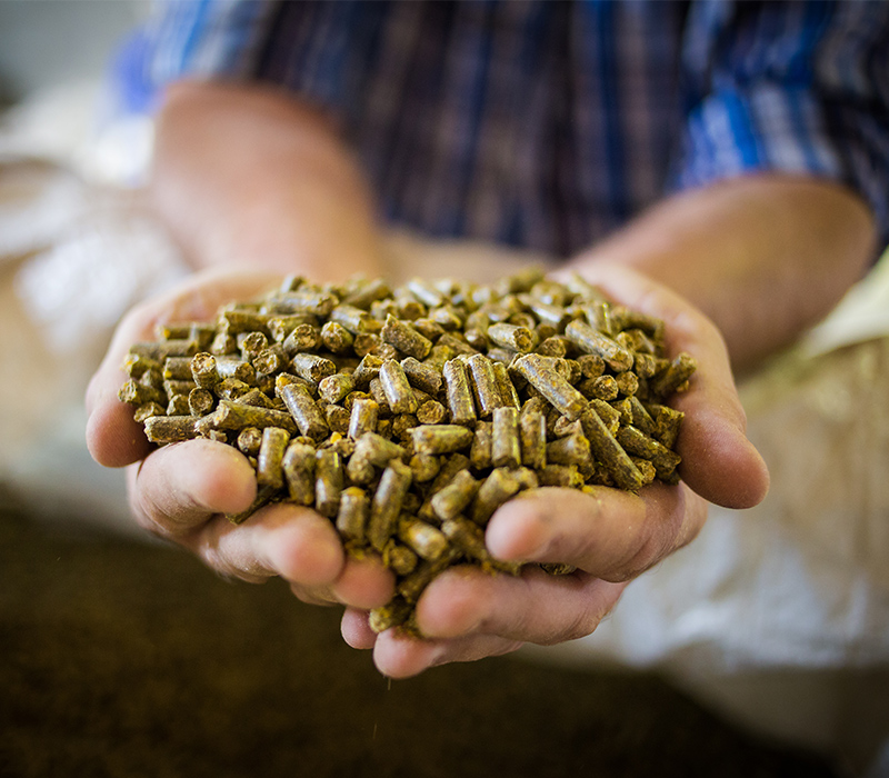 MidWest Farm Nutrition, Forage Requisites, Animal Feed, Fertiliser